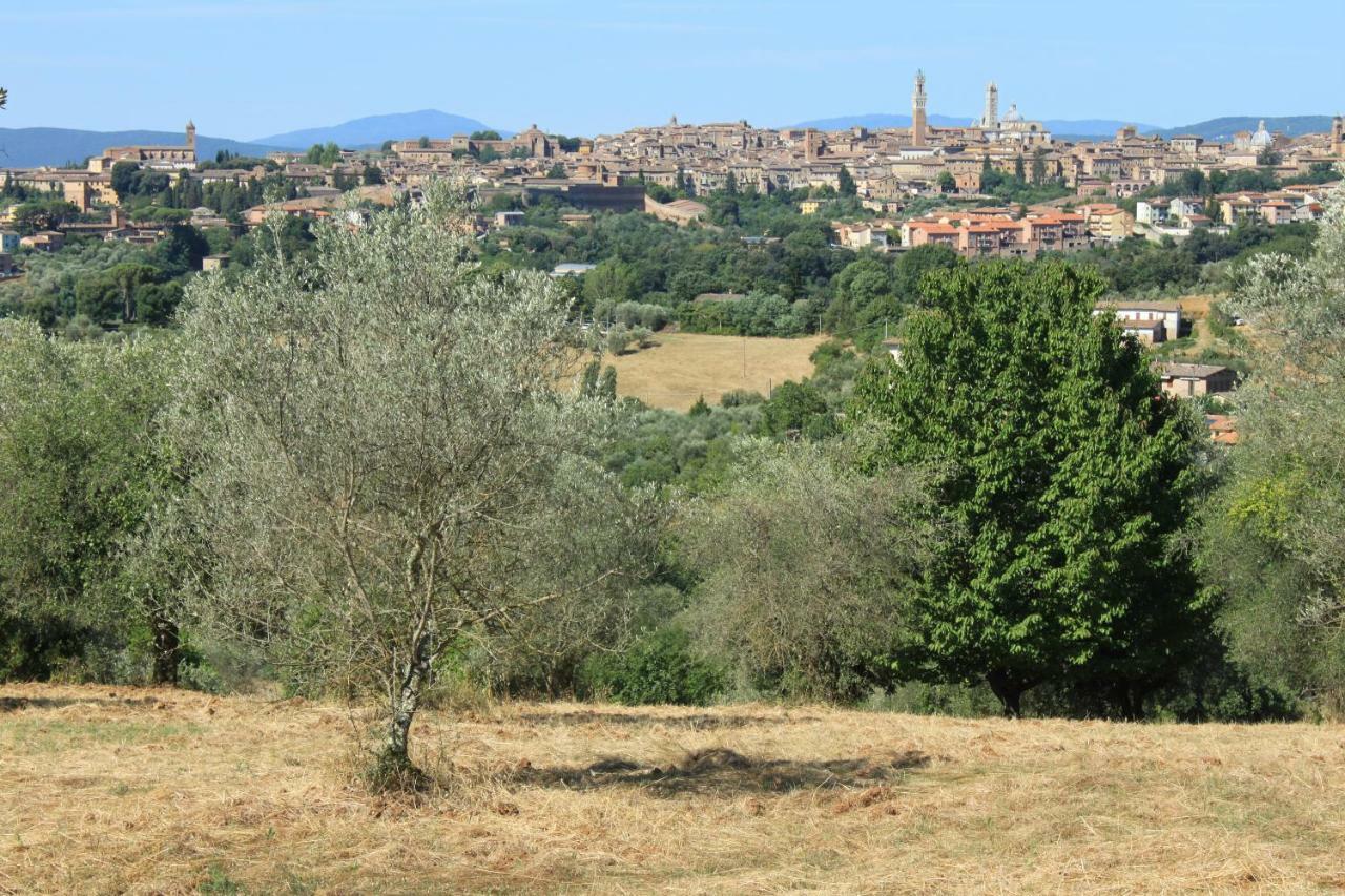 Villa Vignano40 Siena Exterior foto